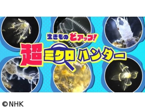 生きもの・どアップ!超ミクロハンター〜命を支える「毛」の秘密〜