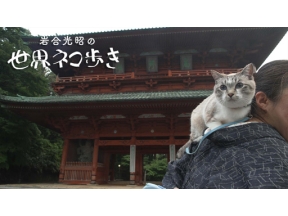 岩合光昭の世界ネコ歩き　高野山　和歌山