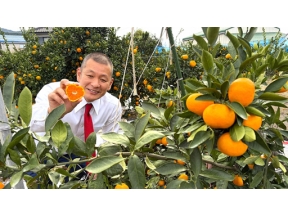 ザ・穴場ツアー　ＣＡＴＶネットワーク「美味を求めて　西へ西へ！」