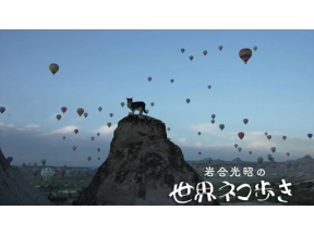 岩合光昭の世界ネコ歩き　カッパドキア～トルコ～