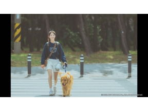 マイ・ラブリー・ジャーニー（４）「願いを言って、ジニ」