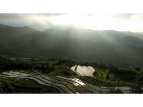 ワイルドライフ　スペシャル　国際共同制作　台湾　里山　人と生きものの記憶