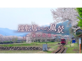 運転席からの風景　桜の記憶