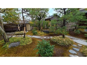 村雨さんと日本庭園たしなみ巡り　有楽苑