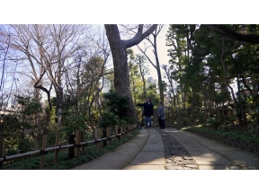 村雨さんと日本庭園たしなみ巡り　荏原　畠山美術館