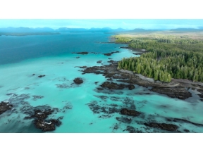 ダーウィンが来た！「生きもの大集合！謎の白い海」