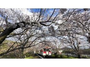 ニッポンぶらり鉄道旅　春の長崎で福めぐり！　松浦鉄道