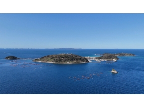 発見！離島のほんわか暮らし　４世代１４人フグ養殖　松島湾無料渡船　絶品かまぼこ