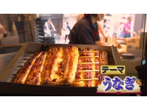 出川哲朗のクイズほぉ～スクール　ＱｕｉｚＫｎｏｃｋが出題！ウナギのヒミツ