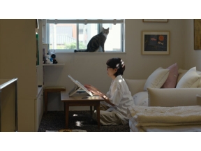 ネコメンタリー　猫も、杓子（しゃくし）も。　嶋津輝と三九