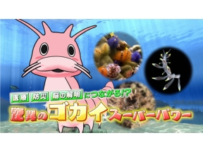 サイエンスＺＥＲＯ　医療・防災・脳の解明につながる！？ゴカイスーパーパワー