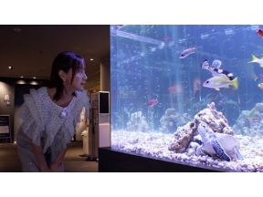 ザ・バックヤード　知の迷宮の裏側探訪　すみだ水族館