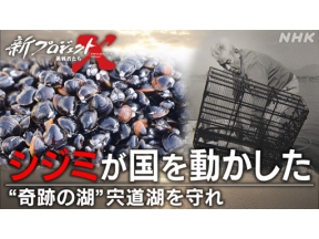 新プロジェクトＸ～挑戦者たち～シジミが国を動かした　宍道湖を守れ！