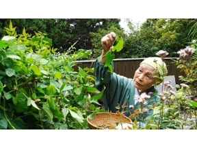 やまと尼寺　精進日記　初物づくし　秋うまし