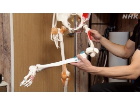 明日から使える　たちまち美姿勢（６）股関節×太ももシュッと