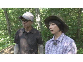 さわやか自然百景　新春特集　川の国　日本　水が紡ぐ命