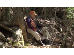ＮＨＫスペシャル　椎葉　山物語　“のさり”の原風景