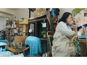 ネコメンタリー　猫も、杓子（しゃくし）も。　村山早紀と千花