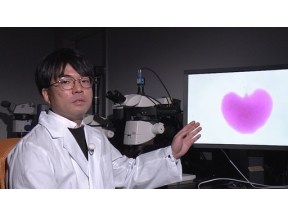 サイエンスＺＥＲＯ　昆虫たちの恋リア！？“婚姻贈呈”の不思議