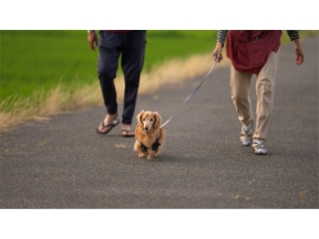 フロンティア　認知症“克服のカギ”を求めて