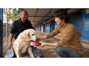 石田ゆり子　世界の犬と猫を抱きしめる～トルコ編～