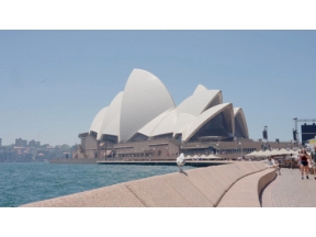 ダーウィンが来た！「シドニーで大繁栄！落ち葉で塚をつくる鳥」