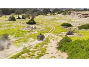 ダーウィンが来た！「幻の砂漠ライオン！孤高のメス　最後の物語」