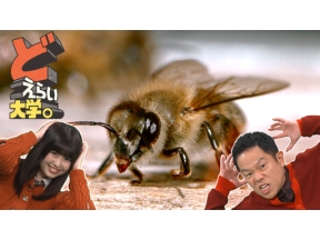 どえらい大学。世界初・日本初の挑戦がいっぱい！玉川大学を大調査！