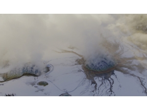 ワイルドライフ　北米イエローストーン　よみがえる草原の守護者　バイソン