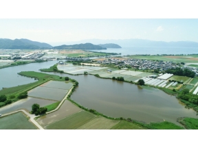 ダーウィンが来た！「徹底解明！ナマズの超能力」