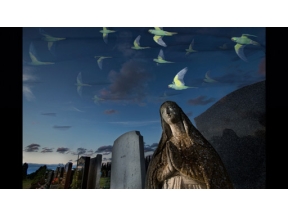 ワイルドライフ　国際共同制作　ワイルドロンドン