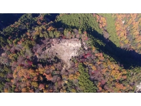 英雄たちの選択　天才軍師・竹中半兵衛の真実