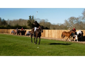 世界ふれあい街歩き　王室に愛された街　ロンドン・リッチモンド〜イギリス〜