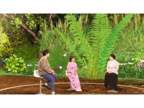 サイエンスＺＥＲＯ“社会性昆虫”大繁栄の真相