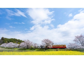 中井精也の絶景！てつたび　春風そよぐ千葉・小湊鉄道を行く！