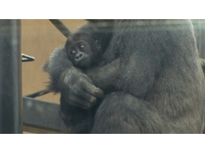 ザ・バックヤード　知の迷宮の裏側探訪　京都市動物園