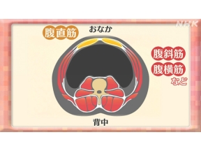 明日から使える　たちまち美姿勢（４）骨盤×ぽっこり下腹改善