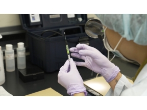 フロンティア　脳に忍び込むナノプラスチックを追う