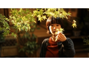 ドラマ　京都人の密かな愉しみ　Ｒｏｕｇｅ－継承－（５）「まことの花」