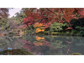 村雨さんと日本庭園たしなみ巡り　兼六園