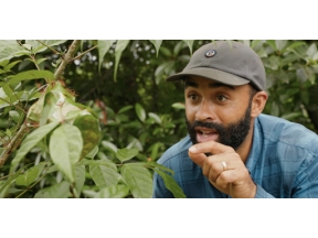 地球ドラマチック　動物たちのサバイバル術　オランウータンに学べ！