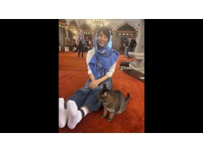 石田ゆり子　世界の犬と猫を抱きしめる～トルコ編～