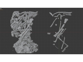 サイエンスＺＥＲＯ　恐竜時代をデジタルで発掘！？“デジタル恐竜学”