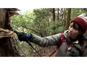 にっぽん百低山「竜王山・山口」