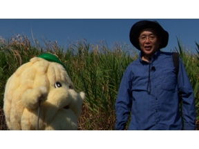 ダーウィンが来た！「長期密着・多摩川トライアングル　ついに巨獣あらわる！？」