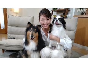 心おどる　犬ワールド（３）人とともに働く犬
