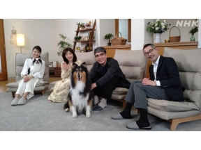 心おどる　犬ワールド（４）人によりそい働く犬