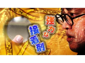 所さん！事件ですよ　地球を救うスーパーフード！？驚異の“藻”パワー