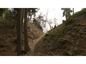 英雄たちの選択　天才軍師・竹中半兵衛の真実