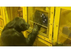 ザ・バックヤード　知の迷宮の裏側探訪　京都市動物園